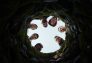 Fantasmas: Episodio 8
