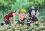 Naruto: ¡El secreto del rollo! No se permite mirar