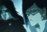Bleach: Los ultimos 9 dias