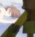 Clannad