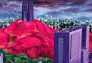 Digimon Tamers: La ciudad es atacada por D-Reaper y la decisión de los entrenadores