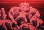 Fullmetal Alchemist: Brotherhood: El ejército inmortal
