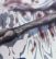 Hunter × Hunter