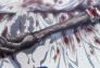Hunter × Hunter: Derrota x Y x Reunión