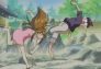 Love Hina: El sueño de Naru, ¡Estrella fugaz!