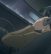 Nodame Cantabile