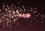 Shakugan no Shana: Episodio 21