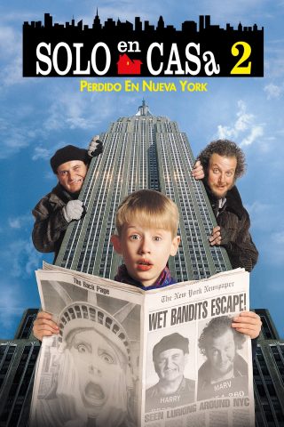 Mi pobre Angelito 2: Perdido en Nueva York