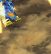 Zoids